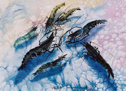 Prawn Paintings